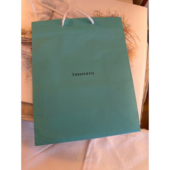 Tiffany & Co gift bag teal white rope handle jewelry crystal .925 Return to - Picture 8 of 8